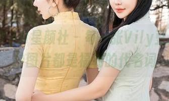 XINGYAN星颜社 – 每一张Vily豆豆的婚纱图片都是福利的代名词