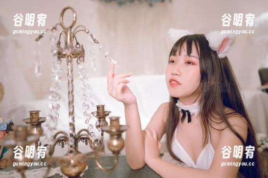 查看不呆猫的镂空集：原图新鲜出炉，更新欢乐不止！